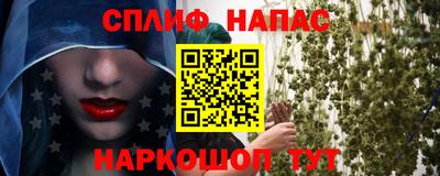 Альфа ПВП Пушкино