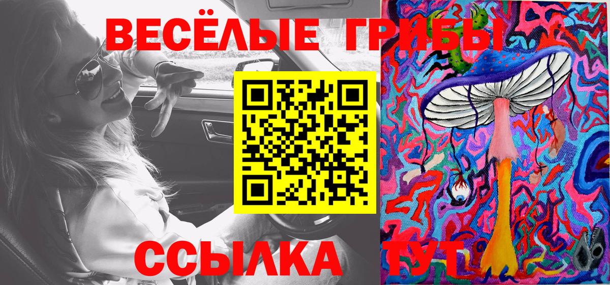 Псилоцибиновые грибы Psilocybine cubensis  Вход с VPN  где купить   Среднеуральск 